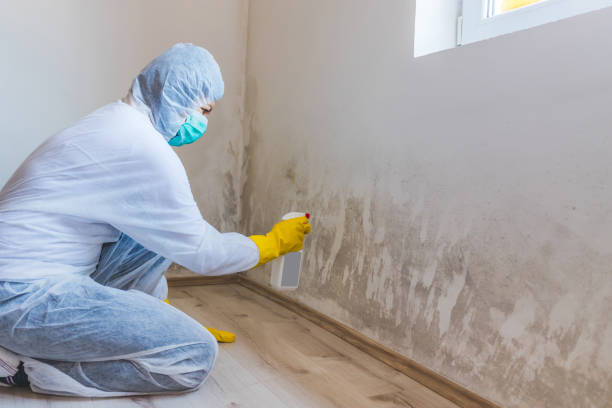 Licensed Bathroom Mold Removal service in Fremont, NC - Mold Remediation HQ