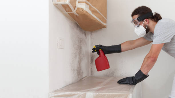 Professional Bathroom Mold Removal technician working in Fremont, NC