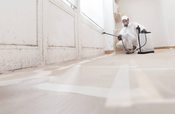 24/7 Emergency Bathroom Mold Removal experts in Fremont, NC