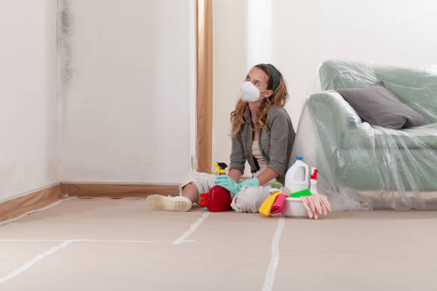Reliable Bathroom Mold Removal contractor in Fremont, NC by Mold Remediation HQ
