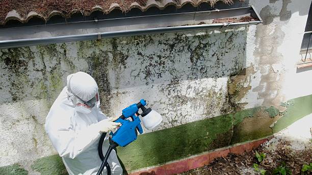 Top rated local Bathroom Mold Removal specialists in Fremont, NC
